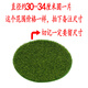 Simulated round grass floor mat, green turf, micro landscape, bonsai moss, desktop sandbox model, decorative green lawn, tender green powder bag 50g (excluding glue)