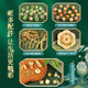 罗璃女孩生日礼物儿童串珠玩具手工diy手链10-12-14岁琉璃女童首饰盒