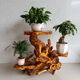 Root Talled Stand Tree Root Ornament Natural Log Sala de estar de madera maciza Base de pescado de bonsai de múltiples capas Balcón de hiedra verde H6130 Para más estilos, comuníquese con el servicio al cliente