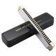Tongboo Tombo Japonais Tongbao harmonique 6624S Modèle de collection All Metal Copper Grid Version 24-Hol Polyphon C-Tuning Harmonic Genuine C-Tuning [Recommandé pour les débutants] 200 manuels de papier