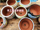 Setoyaki Poterie rouge peinte à la main respirante et absorbable plante succulente orange pêche œuf de laozhuang fleurie bouche 101214 H693