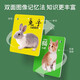 Animal Card Early Education Cognitive Enlightenment Book Children's Literacy Baby Look at Pictures and Identify Things Pictures Children's Digital Education Toys Look at Pictures and Identify Words