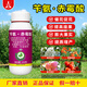 Aowei Aofeng 3.6% benzyl gibberellic acid promotes flowering, promotes flower expansion and fruit expansion, genuine agricultural plant growth regulator pesticide 100g*1 bottle