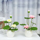 Artificial flower lotus for the Buddha, lotus flower for the Buddha, artificial flower decoration, small ornaments, bonsai silk flower, Guanyin flower Buddha stand, 2 small porcelain vases plus 2 bunches of pink, no smell