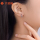 Liuguifu Jewelry Platinum Earrings Prism pt950 Platinum Earrings Fashion Earrings PT0200076 2.90g