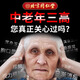 同仁堂北京青钱柳牛蒡玉米须降茶三高养生降茶压血糖脂官方 2盒
