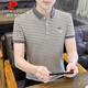 Pier Cardin high-end pure cotton short-sleeved T-shirt for men 2025 summer new striped short-sleeved Polo shirt casual versatile lapel t-shirt 6626 gray L suggest 105-120Jin [Jin equals 0.5 kg]