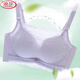 Sous-vêtements de Langsha pour femmes sans anneaux en acier, petits seins, seins plats, soutien-gorge à col mammaire épaissis épaissis sexy