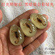 DL 1998 Fat Donglai same model luminous amber real insect specimens children's excavation archaeological blind box pendant accessories resin accessories luminous scorpion 50mm 20-
