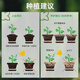Peat soil K brand 6 German imported peat soil Pinshi peat orchid flowers and green plants potted general purpose 10Jin Jin is equal to 0.5 kg K brand 614 pure granular massive peat soil