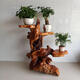 Wurzel geschnitzte Ständer Baumwurzel natürliche Ornament Massivholz Block Wohnzimmer Mehrschicht Bonsai Fischtank Basis Grün Ivy Balkon Sonderangebot H6636 Ein Bild One Sache