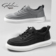 Shachi 2025 Spring and Summer Nouvelles chaussures en toile pour hommes chaussures décontractées respirantes pour hommes chaussures de planche tendance non glissantes Gray S523F136 41