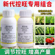 3 sets of Prohexadione Calcium Uniconazole Combination Peanut, Sweet Potato, Rice and Vegetable Growth Regulator (10g + 10g) for controlling growth and increasing production