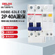 Delixi Electric air switch circuit breaker air leakage protector HDBE-63LE 2P C type 40A