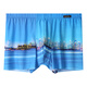 
Schiesser Skyline Series Travel the world High-end Platinum Men's Ice Silk Underwear One-piece Boxer Pants 99-15265T (Shanghai) M