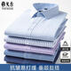 Yager flagship official store long-sleeved shirt for men's spring and autumn cotton non-scalding and anti-wrinkle business formal wear striped plaid professional shirt 6636 [Blue triangle] 38 Weight 115-120Jin [Jin equals 0.5 kg]
