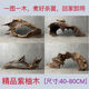 80 cm Bois enfoncé Purple Tek Wood Grass Tank Ali tank Fiscaping Aquarium Decoration Turtle Sun Terrace évite l'ermite crabe grimper à l'orange blanc Évier instantané A3288