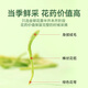 Gongyuan honeysuckle tea 100g special grade Sanfu herbal tea dried flower fire and fire soaked in water to remove damp heat and eczema in infants and children