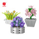 
Shantoulin Village plant building blocks and flowers cute small ornaments DIY assembly toy wholesale XJ-10975(B) Juhuangyu