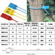 One-time customized garden seedling seal number tree extended plastic seal label sign plate 42CM50CM60CM plastic 33cm red 100 pieces
