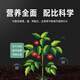 Potassium dihydrogen phosphate foliar fertilizer, flower fertilizer, compound water-soluble fertilizer for fruit trees, phosphate fertilizer 25kg large package, 25kg logistics to the county for pick-up