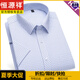 Hengyuanxiang Herren reines Baumwolldünne Plaid kurzärmeliges Hemd mittleren Alters Casual Cotton Plus Size Retro Daddy Anzug Trend DX6624 38