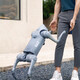 Yushu (Unitree) Voice AI Model Robot Dog Go2 Elektronischer Hund Verkörperte Intelligenz Begleitung Bionischer Begleiter Roboter Vierbeiniger Roboter Hund Go2-pro+ Fernbedienung