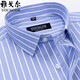 Magasin phare de Yager Store Men à manches courtes pour hommes à manches courtes pour les affaires d'été et la chemise à rayures à rayures d'âge moyen sans-rides DX6628 45 Recommandé 195-210jin [Jin est égal à 0,5 kg]]]