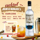 欧帅洋酒基酒调酒套装 DIY鸡尾酒 伏特加威士忌朗姆龙舌兰金酒 明天见 绝对版明天见组套（送调酒工具）