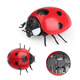 Original direct supply, novel and unique remote control electric insect toys, electric snail and mouse prank, 9922 ladybug, 130G, weight 0.28kg