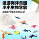 Wild Knight Children's Toys Ocean World Set Dinosaurier Eier Erleuchtung Frühaufschuld Simulationsmodell Junge 3-6. Geburtstagsgeschenk