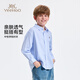 YEEHOO boys' shirts, children's shirts, medium and large children's clothing, pure cotton tops, college style long-sleeved spring clothes, blue strips 160