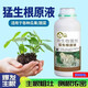 Mengshenggen stock solution, powerful rooting and seedling transplanting, fruit, vegetable, flower and green plant root-promoting microbial root-strengthening fertilizer. Mengshenggen stock solution 500g*1 bottle