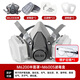 胜丽 M6200防毒面具口罩 防无机气体/氯化氢/氢氰酸 印刷厂印花厂 M6005配22片滤棉