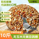New pigeon food 20 Jin Jin is equal to 0.5 kg. Corn-free pigeon food with corn pigeon feed racing nutrition pigeon food for adult and young pigeons 5 Jin Jin is equal to 0.5 kg. Corn-free pigeon food without peas 20 Jin Jin is equal to 0.5 kg.