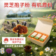 简芝堂出口级破壁灵芝孢子粉礼盒装增强免疫力术后恢复送老人营养滋补品 1盒装72克（内含3小盒（2克/袋*12袋））