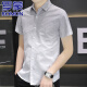
ROMON high-end ice silk cool short-sleeved shirt for men 2025 summer casual half-sleeved square collar free iron shirt for men 844 green 2XL