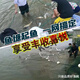 MIEHONE (MIEHONE) weighted and thickened fishing net, fishing net, custom-made pond clearing net, fish pond blocking net, and drag net, 9 strands of thick wire, 2 finger holes, 2 meters high and 10 meters long, with floats and weights installed.