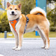 Star rudder Shiba Inu dog leash vest type harness explosion-proof small and medium-sized dog pet supplies dog leash dog walking rope Oxford cloth orange M (12-32Jin Jin equals 0.5kg)