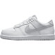 Nike (Nike) Dunk GS Big Women's Big Children's Wear Wear Show Top Shoes DH9756-102 DH9756-001 28