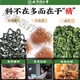 北京同仁堂青钱柳玉米须桑叶茶180g中药茶蒲公英葛根养生花茶 180g*2盒初见成效