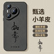 Familia Yuan Adecuada para Huawei Pura70 Mobile Phone Case Pro Men's Ultra New P40 Anti-Fall P30 Paquete completo P60 Soft 50 Silicona H Todo va bien-Luz de metal desnuda de una sola capa larga Sentencia Huawei Pura70