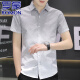 
ROMON high-end ice silk cool short-sleeved shirt for men 2025 summer casual half-sleeved square collar free iron shirt for men 844 green 2XL