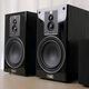 Mili magnatSignature 503 high-end hifi speaker audio, three-quarter wooden passive bookcase, gold standard certified high-fidelity home theater, home use, need to be matched with power amplifier, wood grain color, 3-quarter low-frequency reflection