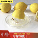RSRDDY fast juice glass manual juicer small juicer small