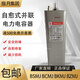 Shanghai/Zhiyue BCMJ/BSMJ0.45-15 16 20 25 30 -3 Self-healing low-voltage parallel capacitor 0.45-15-3