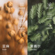 伊芙丽（eifini）伊芙丽后腰舒适牛筋设计感连衣裙女2025夏季新款休闲气质裙子女 白色 预售[30天]发 M 105-115斤
