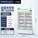 
Rongshida Pharmaceutical Cool Cabinet Medical Refrigerator Medical Refrigerator Pharmacy Display Cabinet Vertical Refrigerator Hospital Clinic GSP Certified Cool Drug Cabinet Aluminum Alloy Doors 丨688L Double Doors 丨Air Cooling 丨Cool/Refrigeration Dual Mode