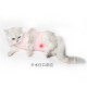 Niqi cat sterilization surgery clothes, dog female cat weaning clothes, menstrual clothes, anti-hair loss, cat moss, skin disease, anti-licking clothes, pink - back length is subject to M size, back length 28-34, bust 34-40