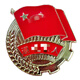 Mrs win (Mrs win) retired military badge retired commemorative veteran collection gift comrade-in-arms party commemorative brooch thickened 32mm retired military badge 2.5cm B07-204